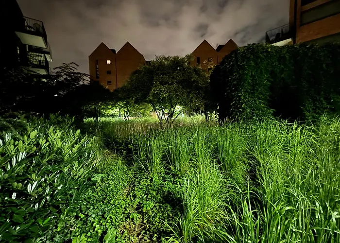 Zielone Srodmiescie Na Osiedlu River View アパート